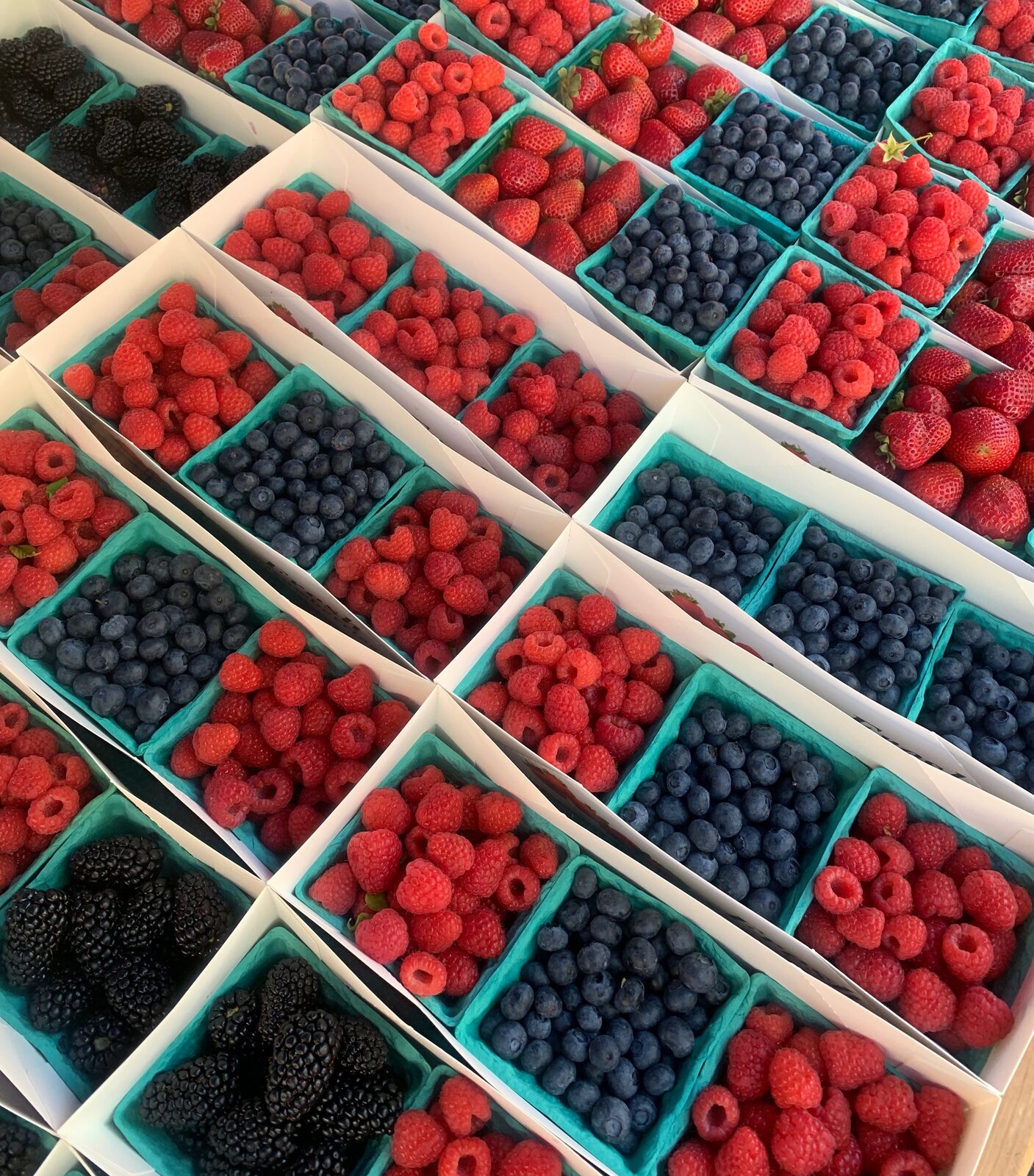 Fresh berries represent polyphenol-rich foods that can nourish beneficial gut bacteria.